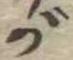 が 위치 확인됨