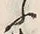 Character ふ
