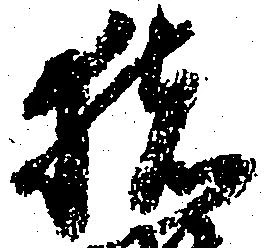 已定位猪
