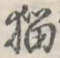 位置 確認된 猫