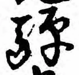 Đã định vị 騨