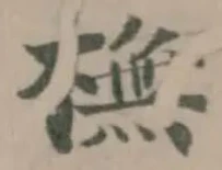 橅の位置