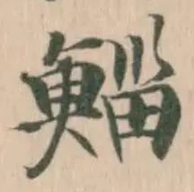 Đã định vị 鯔