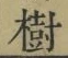 글자 樹