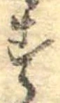 位置定マレル未定