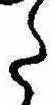 Đã định vị 𛁠