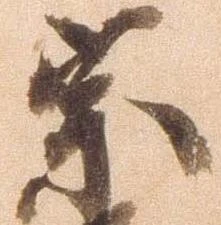 已定位宗