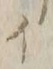 글자 ロ