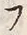 𡨸フ