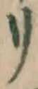 字リ