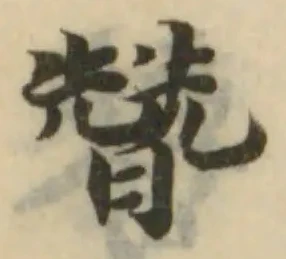 朁の位置