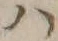 字ハ