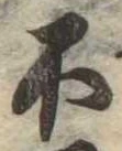 不 위치 확인됨