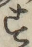 Character す