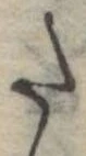 𛁠の位置
