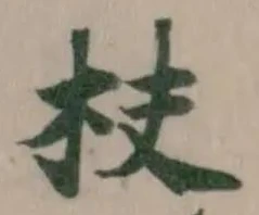枎の位置