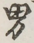 Đã định vị 男