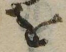 已定位𛄜