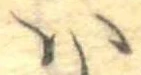 𛂞 위치 확인됨