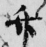 竹 위치 확인됨