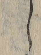 글자 し