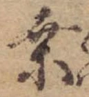Đã định vị 桑