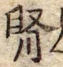 腎 위치 확인됨