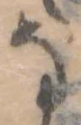 已定位𛂂