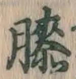Chữ 膝