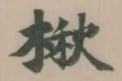 楸の位置