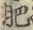 文字肥