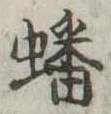 蟠の位置