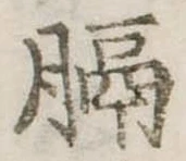 Đã định vị 膈