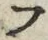 𡨸フ