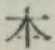 “本”字