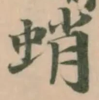蛸の位置