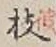 字枝