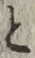 “と”字