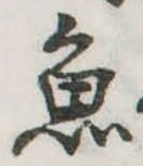 魚 위치 확인됨