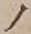 “ノ”字