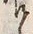 字喰