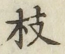 字枝