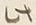 Character 此