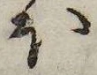 𛃀の位置
