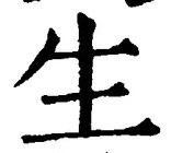 字生