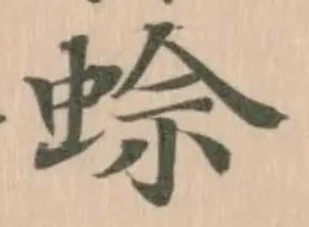 蜍 위치 확인됨