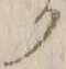 “ク”字