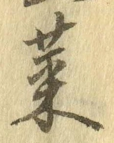 菜 위치 확인됨