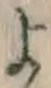 文字 よ