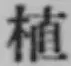 글자 植